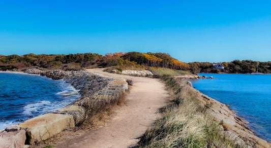 Path to the Knob, Cape Cod